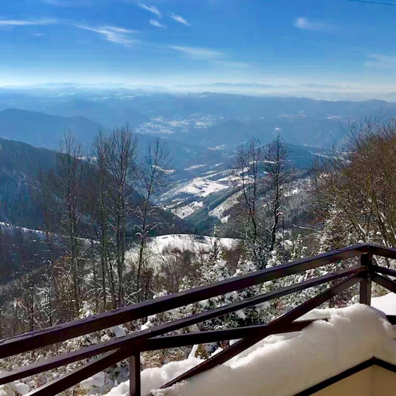 Apartman D52 Dvori Kopaonik Extérieur photo